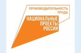 31.03.2025 Федеральный проект &quot;Производительность труда&quot; | Администрация муниципального округа город Партизанск Приморского края Официальный сайт