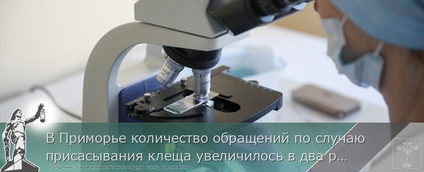 В Приморье количество обращений по случаю присасывания клеща увеличилось в два раза. ПАМЯТКА. | Администрация муниципального округа город Партизанск Приморского края Официальный сайт В Приморье количество обращений по случаю присасывания клеща увеличилось в два раза. ПАМЯТКА. | Администрация муниципального округа город Партизанск Приморского края Официальный сайт