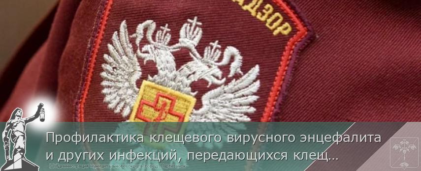 Профилактика клещевого вирусного энцефалита и других инфекций, передающихся клещами | Администрация муниципального округа город Партизанск Приморского края Официальный сайт Профилактика клещевого вирусного энцефалита и других инфекций, передающихся клещами | Администрация муниципального округа город Партизанск Приморского края Официальный сайт