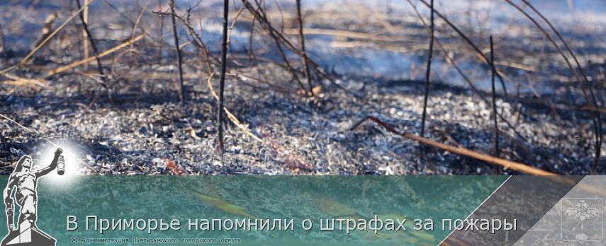 В Приморье напомнили о штрафах за пожары | Администрация муниципального округа город Партизанск Приморского края Официальный сайт В Приморье напомнили о штрафах за пожары | Администрация муниципального округа город Партизанск Приморского края Официальный сайт
