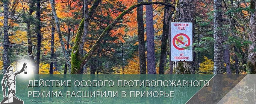 ДЕЙСТВИЕ ОСОБОГО ПРОТИВОПОЖАРНОГО РЕЖИМА РАСШИРИЛИ В ПРИМОРЬЕ | Администрация муниципального округа город Партизанск Приморского края Официальный сайт ДЕЙСТВИЕ ОСОБОГО ПРОТИВОПОЖАРНОГО РЕЖИМА РАСШИРИЛИ В ПРИМОРЬЕ | Администрация муниципального округа город Партизанск Приморского края Официальный сайт