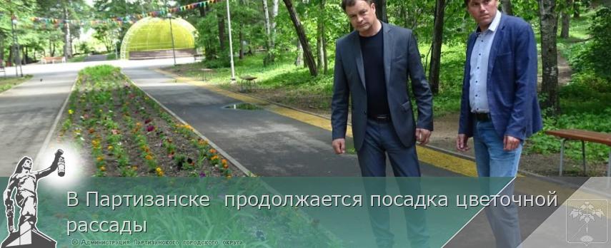 В Партизанске продолжается посадка цветочной рассады | Администрация муниципального округа город Партизанск Приморского края Официальный сайт В Партизанске продолжается посадка цветочной рассады | Администрация муниципального округа город Партизанск Приморского края Официальный сайт