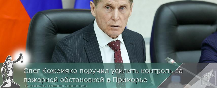 Олег Кожемяко поручил усилить контроль за пожарной обстановкой в Приморье | Администрация муниципального округа город Партизанск Приморского края Официальный сайт Олег Кожемяко поручил усилить контроль за пожарной обстановкой в Приморье | Администрация муниципального округа город Партизанск Приморского края Официальный сайт