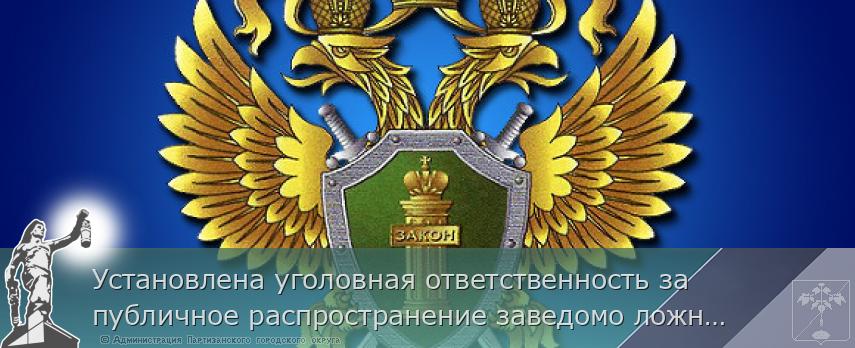 Установлена уголовная ответственность за публичное распространение заведомо ложных сведений о ветеранах Великой Отечественной войны, унижение их чести и достоинства | Администрация муниципального округа город Партизанск Приморского края Официальный сайт