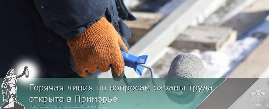 Горячая линия по вопросам охраны труда открыта в Приморье | Администрация муниципального округа город Партизанск Приморского края Официальный сайт Горячая линия по вопросам охраны труда открыта в Приморье | Администрация муниципального округа город Партизанск Приморского края Официальный сайт