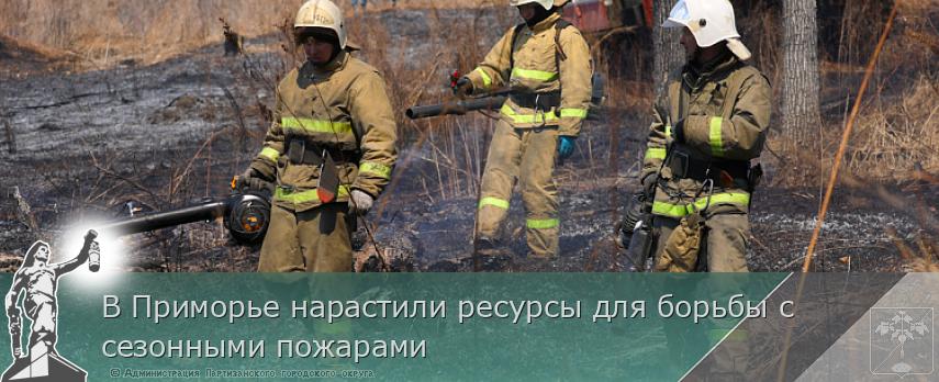 В Приморье нарастили ресурсы для борьбы с сезонными пожарами | Администрация муниципального округа город Партизанск Приморского края Официальный сайт В Приморье нарастили ресурсы для борьбы с сезонными пожарами | Администрация муниципального округа город Партизанск Приморского края Официальный сайт