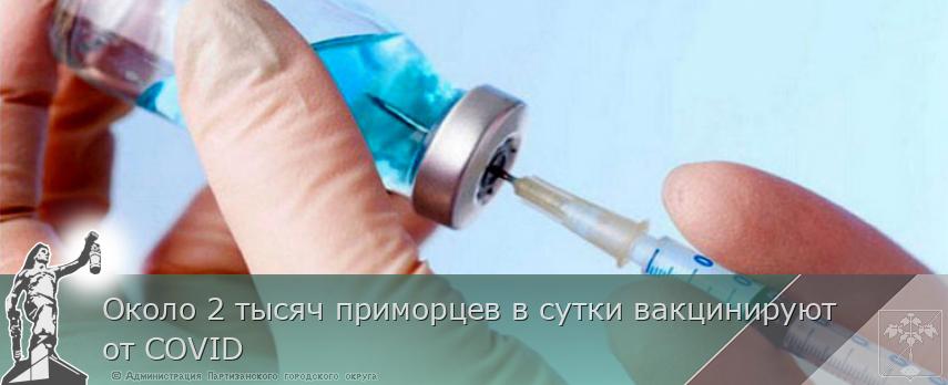 Около 2 тысяч приморцев в сутки вакцинируют от COVID | Администрация муниципального округа город Партизанск Приморского края Официальный сайт Около 2 тысяч приморцев в сутки вакцинируют от COVID | Администрация муниципального округа город Партизанск Приморского края Официальный сайт