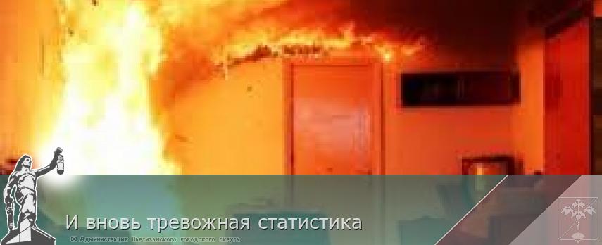 И вновь тревожная статистика | Администрация муниципального округа город Партизанск Приморского края Официальный сайт И вновь тревожная статистика | Администрация муниципального округа город Партизанск Приморского края Официальный сайт