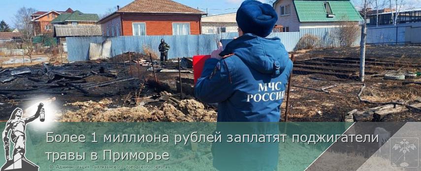 Более 1 миллиона рублей заплатят поджигатели травы в Приморье | Администрация муниципального округа город Партизанск Приморского края Официальный сайт Более 1 миллиона рублей заплатят поджигатели травы в Приморье | Администрация муниципального округа город Партизанск Приморского края Официальный сайт