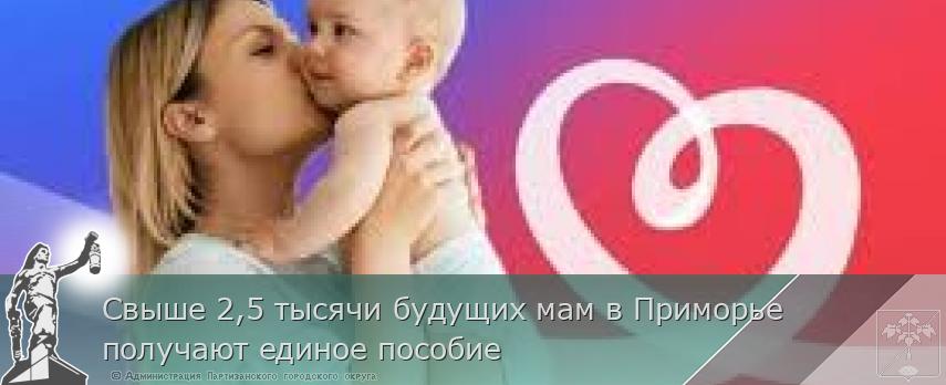 Свыше 2,5 тысячи будущих мам в Приморье получают единое пособие | Администрация муниципального округа город Партизанск Приморского края Официальный сайт Свыше 2,5 тысячи будущих мам в Приморье получают единое пособие | Администрация муниципального округа город Партизанск Приморского края Официальный сайт