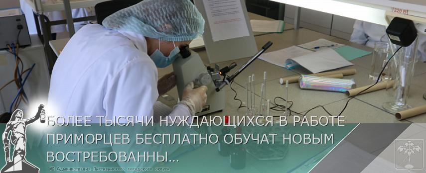 БОЛЕЕ ТЫСЯЧИ НУЖДАЮЩИХСЯ В РАБОТЕ ПРИМОРЦЕВ БЕСПЛАТНО ОБУЧАТ НОВЫМ ВОСТРЕБОВАННЫМ КОМПЕТЕНЦИЯМ | Администрация муниципального округа город Партизанск Приморского края Официальный сайт БОЛЕЕ ТЫСЯЧИ НУЖДАЮЩИХСЯ В РАБОТЕ ПРИМОРЦЕВ БЕСПЛАТНО ОБУЧАТ НОВЫМ ВОСТРЕБОВАННЫМ КОМПЕТЕНЦИЯМ | Администрация муниципального округа город Партизанск Приморского края Официальный сайт